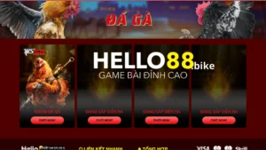 Đá gà hello88 là một sân chơi đá gà thomo trực tuyến