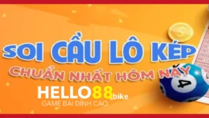 Phân loại các loại bạch thủ lô kép phổ biến nhất trên thị trường hiện nay