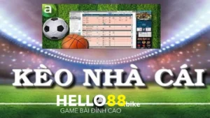 Bảng bóng đá kèo nhà cái là nơi hiển thị tỷ lệ kèo