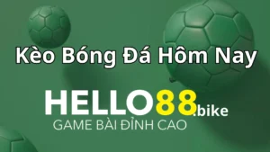 Kèo bóng đá hôm nay là gì? Tìm hiểu tổng quan về kèo bóng đá trong cá cược