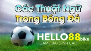 Bet thủ nên hiểu những thuật ngữ bóng đá