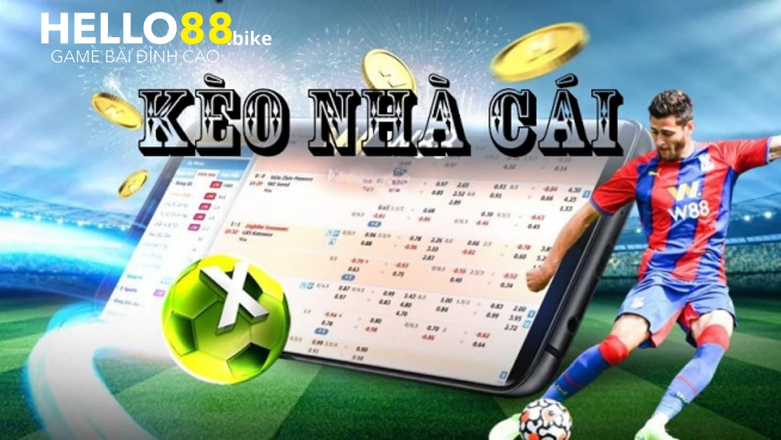 Trực tiếp bóng đá kèo nhà cái Trực tiếp bóng đá kèo nhà cái