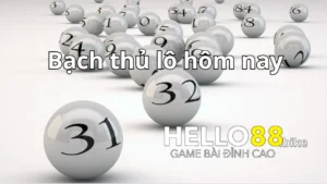 Bạch thủ lô là gì? Tổng quan về bạch thủ lô